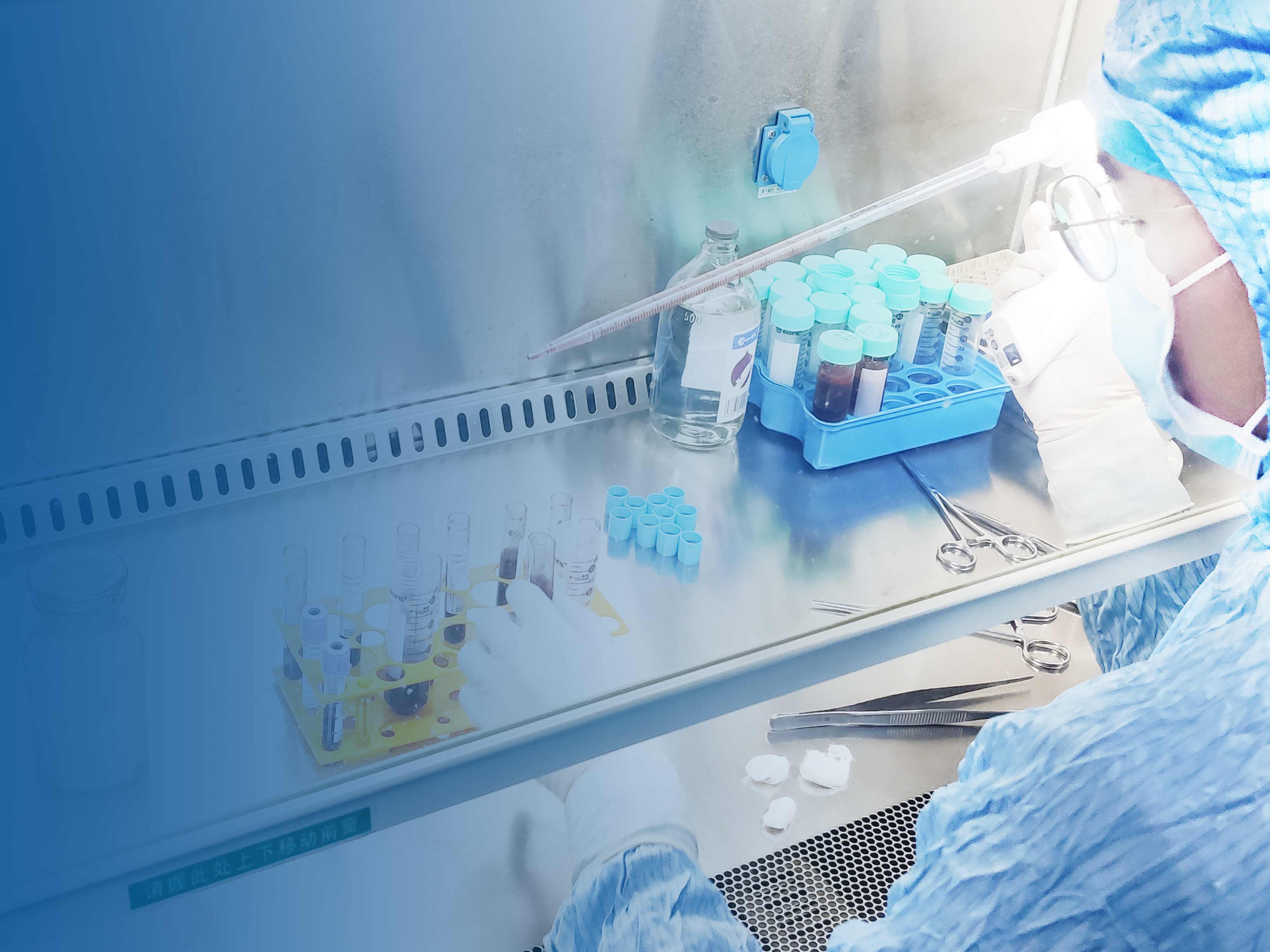 體細(xì)胞制備